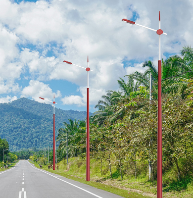 察隅民族特色路灯 察隅民族特色路灯